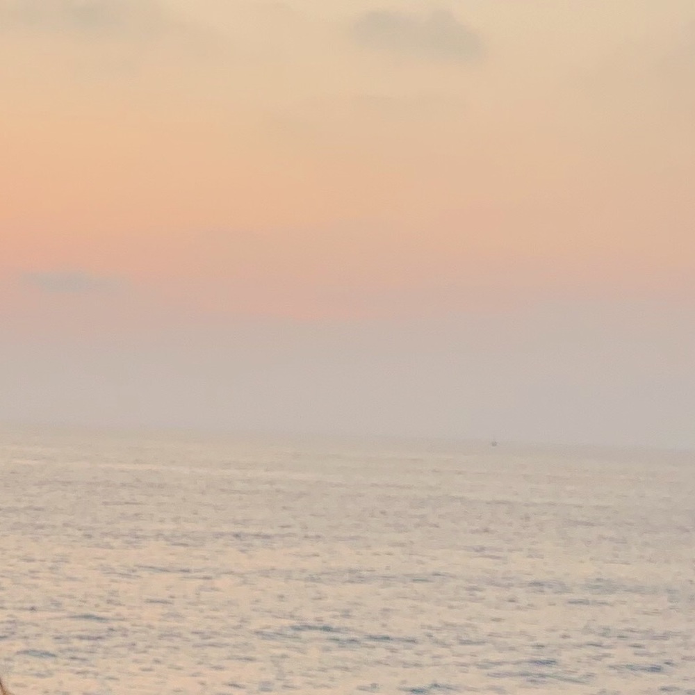 Meet your Posher, Danica